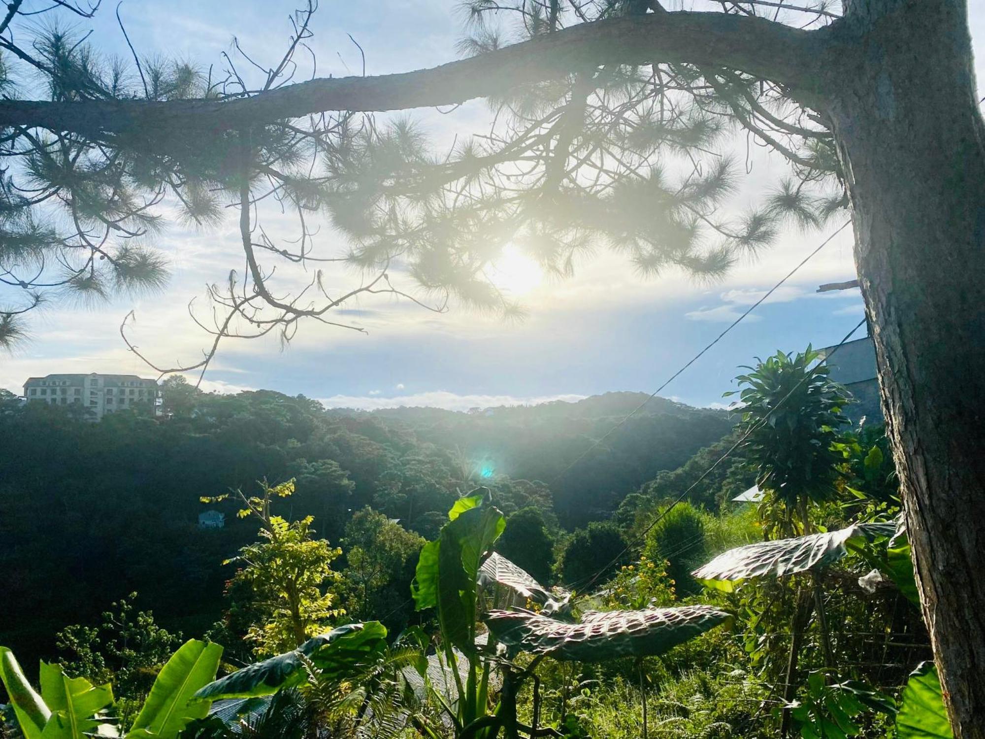 May Trang Villa Da Lat Kültér fotó